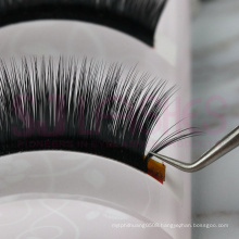 Wholesale individual Blooming Lashes, Cosmetic Blooming Eyelash Extension, Individual Eyelash Extension Silk